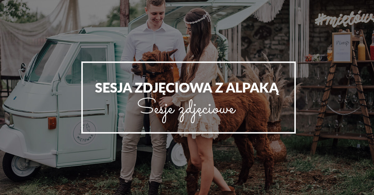 Sesje zdjęciowe z alpaką - Ciechanów